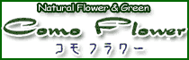 �R���t�����[