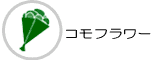 �R���t�����[